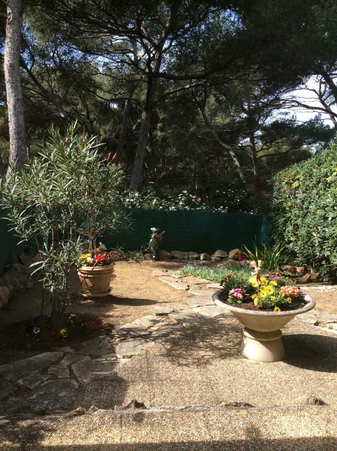 T2 Rez De Jardin 300M Plage De Beaucours Sanary Sur Mer Zewnętrze zdjęcie